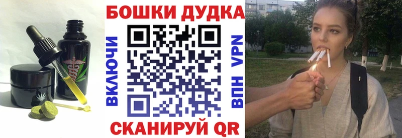 Canna-Cookies марихуана  купить закладку  Новороссийск 