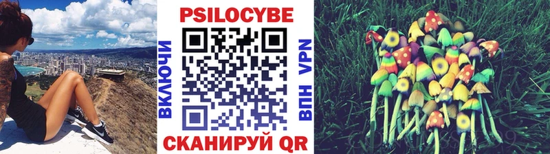 купить  цена  Новороссийск  Галлюциногенные грибы Psilocybine cubensis 