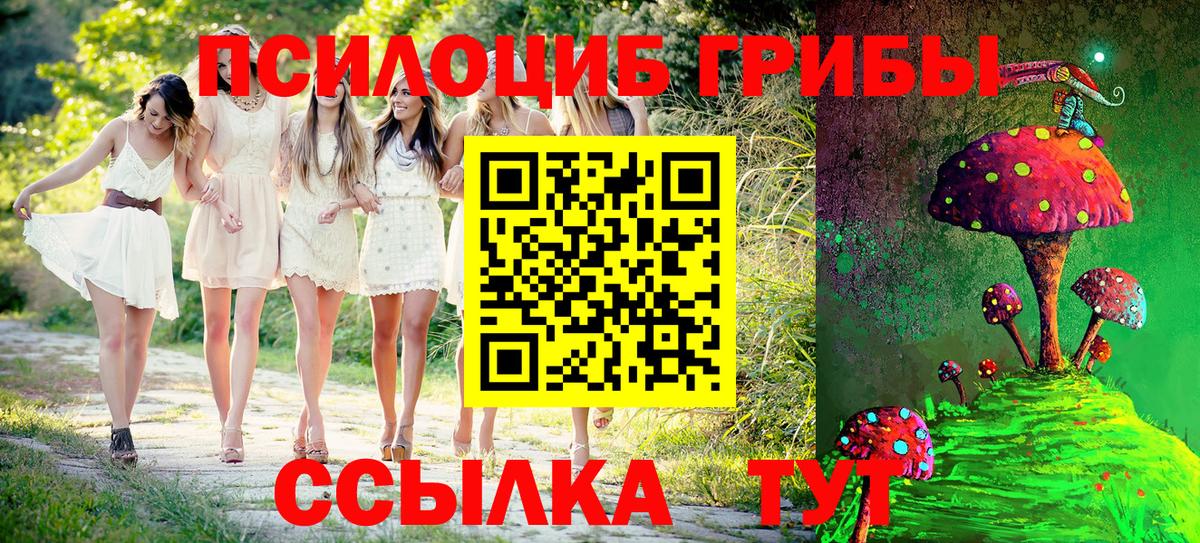 Галлюциногенные грибы Cubensis Новороссийск